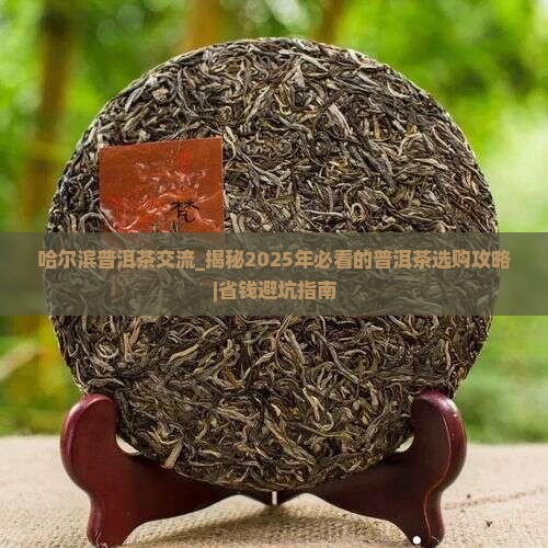 哈尔滨普洱茶交流