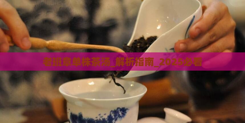 老班章单株茶汤