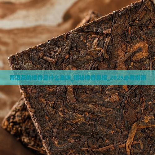 普洱茶的樟香是什么滋味