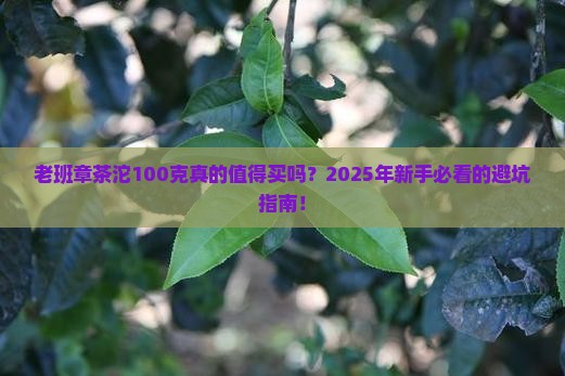 老班章茶沱100克
