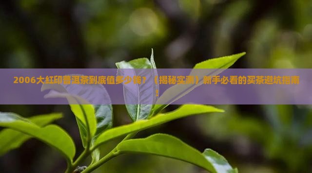 2006大红印普洱茶价格