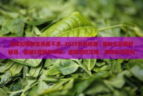 曼松和哪种生茶差不多