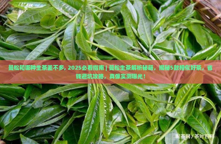 曼松和哪种生茶差不多