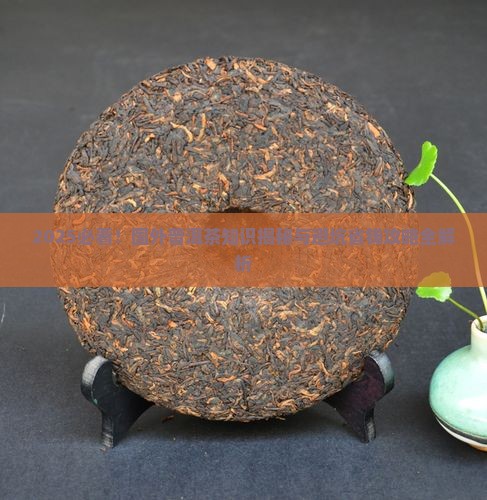 国外普洱茶知识介绍