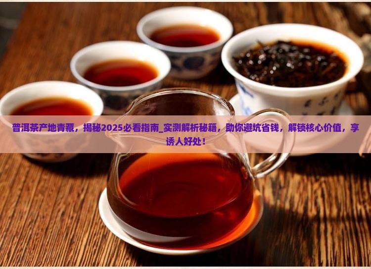 普洱茶产地青藏