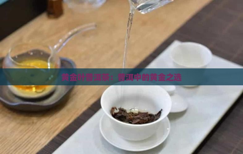 大黄金叶普洱茶