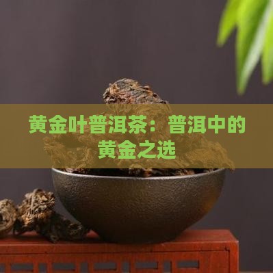 大黄金叶普洱茶