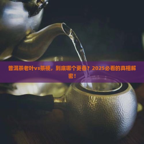 普洱茶老叶好还是茶梗好
