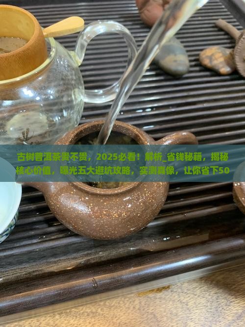 古树普洱茶贵不贵