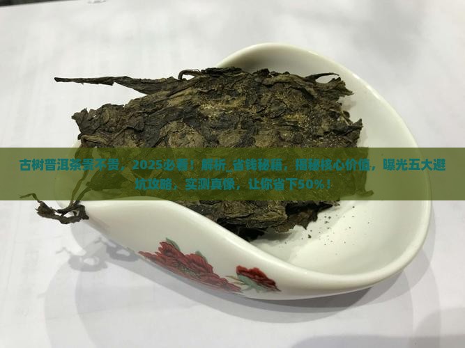 古树普洱茶贵不贵