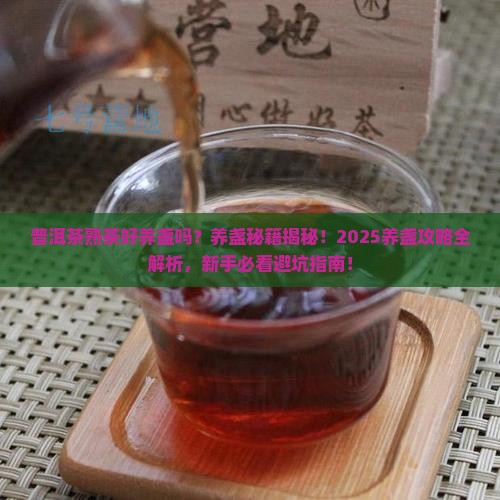普洱茶熟茶好养盏吗