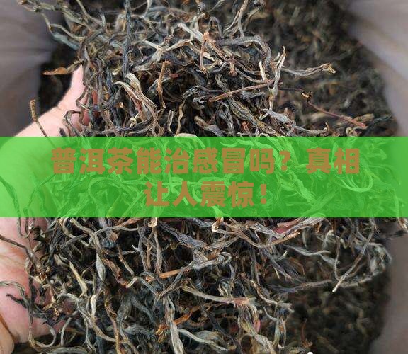 普洱茶和感冒冲剂