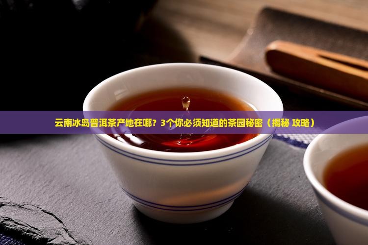 云南冰岛普洱茶产地在哪
