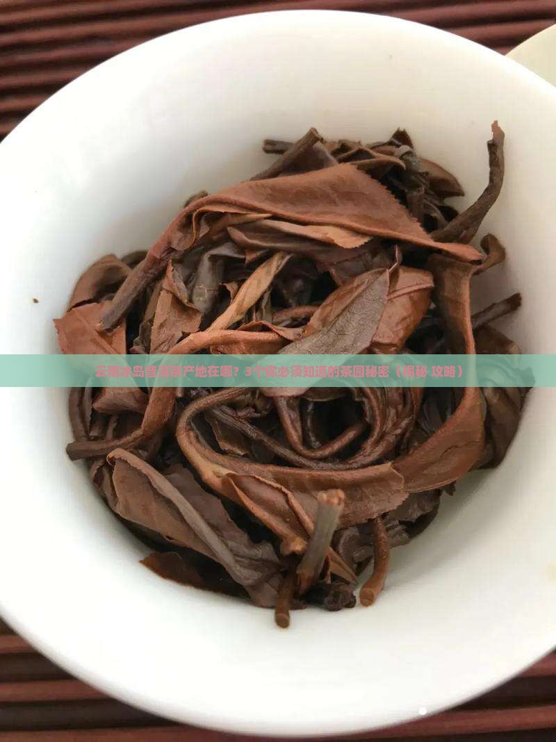 云南冰岛普洱茶产地在哪