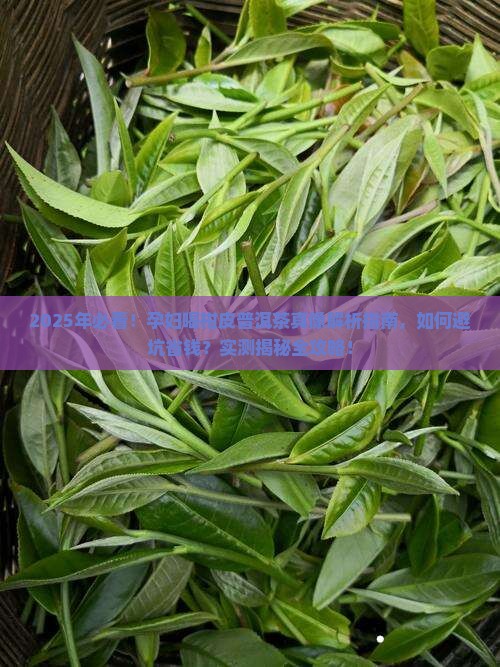 孕妇可以喝柑皮普洱茶