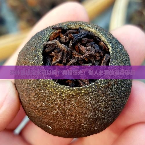 茶叶直接泡水可以吗