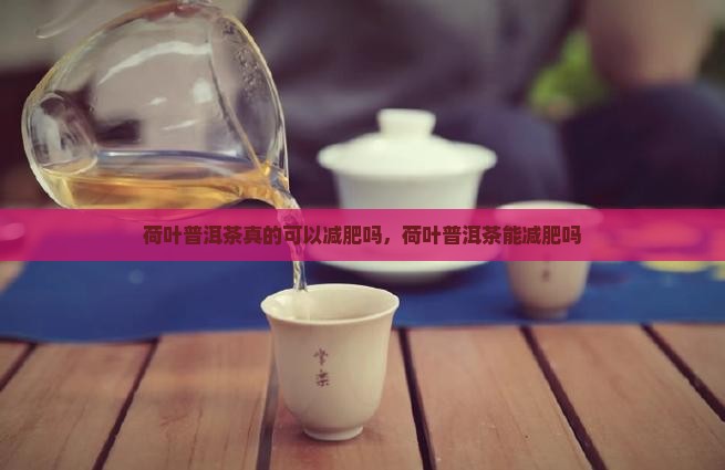 荷叶普洱茶真的可以减肥吗