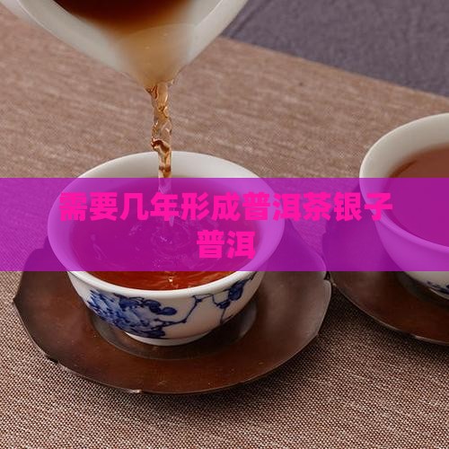 需要几年形成碎银子普洱茶