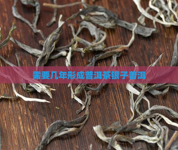 需要几年形成碎银子普洱茶
