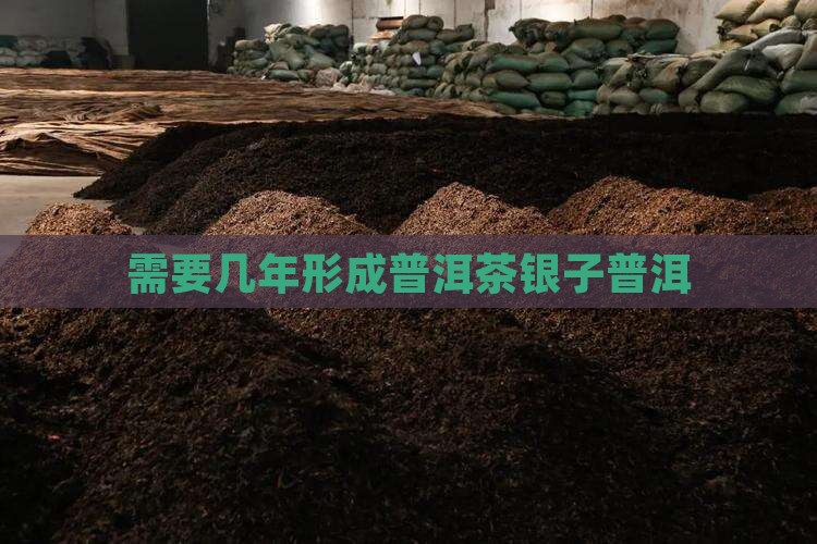 需要几年形成碎银子普洱茶