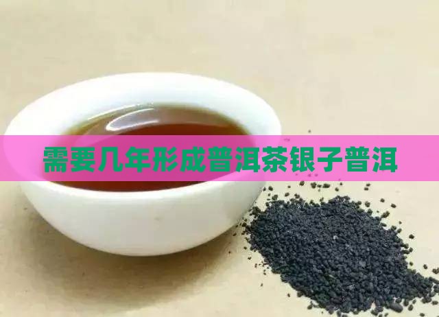需要几年形成碎银子普洱茶