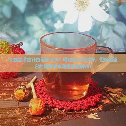 大益普洱金针白莲怎么样