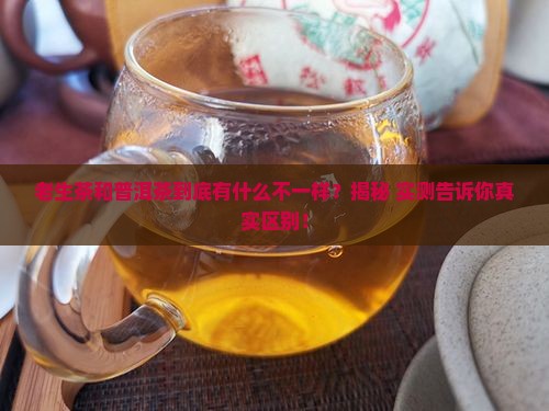 老生茶和普洱茶的区别