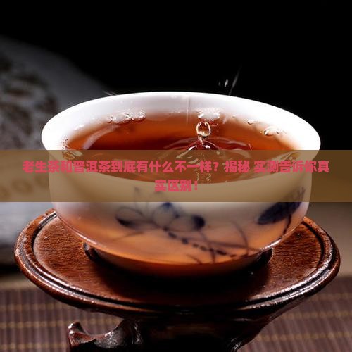 老生茶和普洱茶的区别
