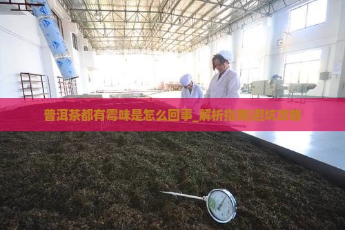 普洱茶都有霉味是怎么回事