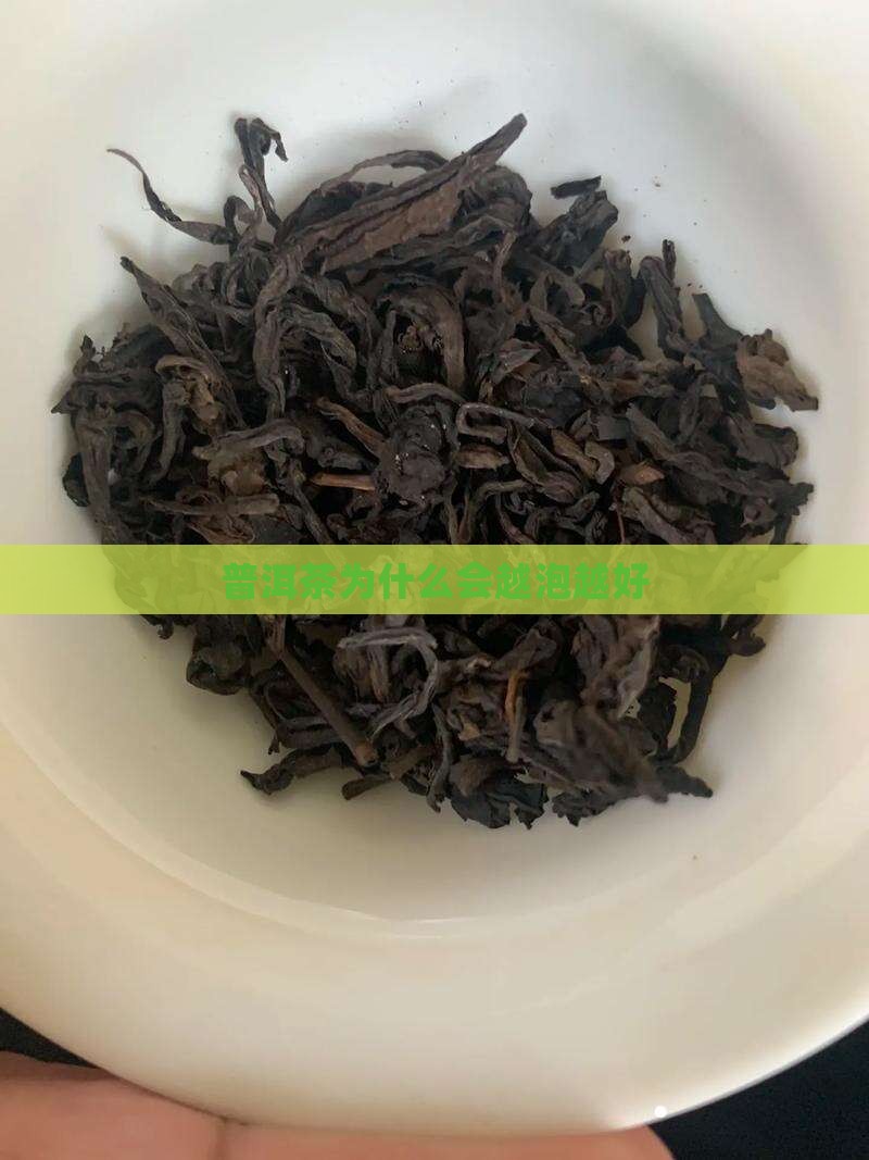 普洱茶为什么会越泡越好