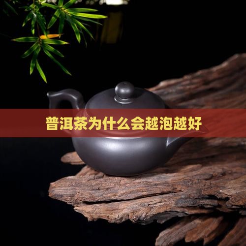 普洱茶为什么会越泡越好