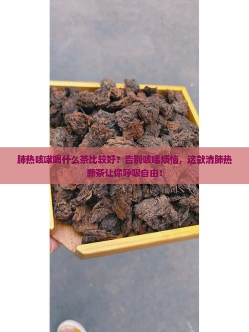 肺热咳嗽喝什么茶比较好