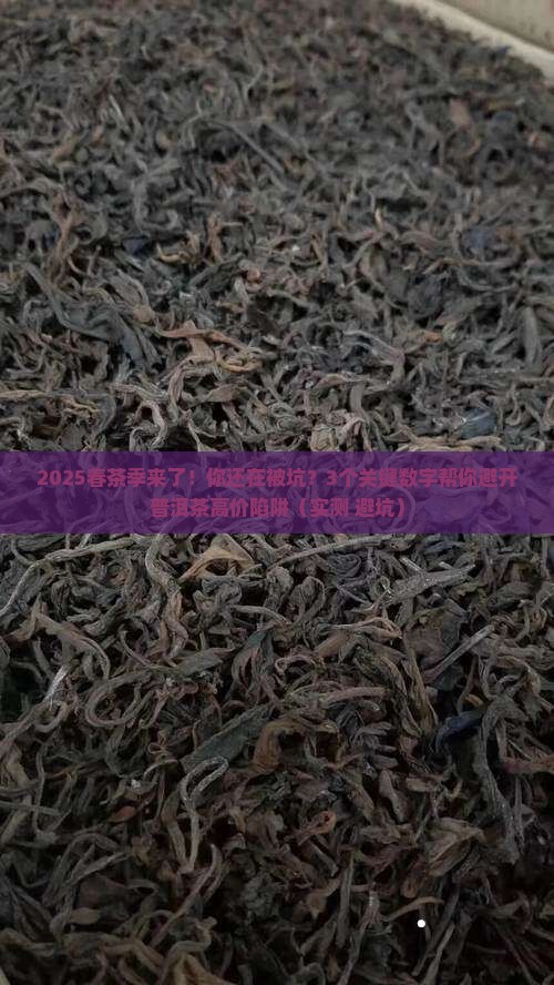 普洱茶中的春茶价格