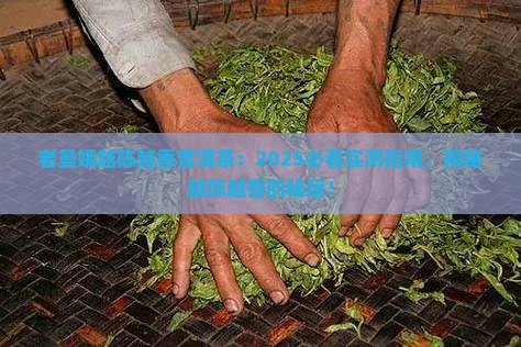 老曼娥越陈越香普洱茶