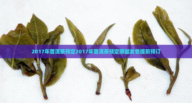 2017年普洱茶预定