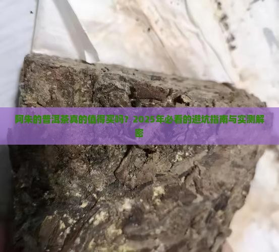 阿朱的普洱茶好吗