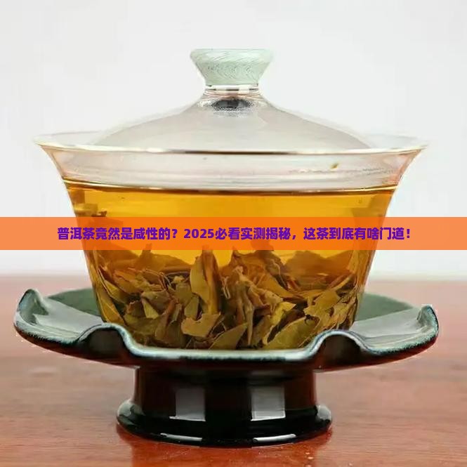 普洱茶是咸性的