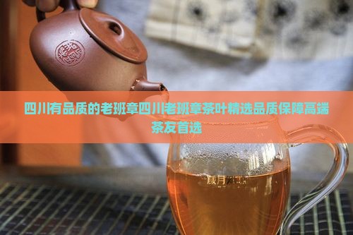 四川有品质的老班章