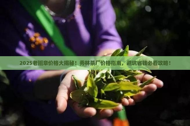 秀林茶厂的老班章价格 秀林茶厂的老班章价格