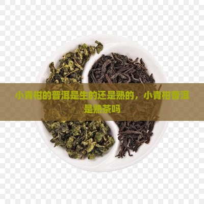 小青柑的普洱是生的还是熟的