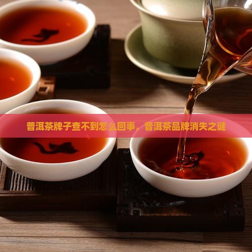 普洱茶牌子查不到了怎么回事