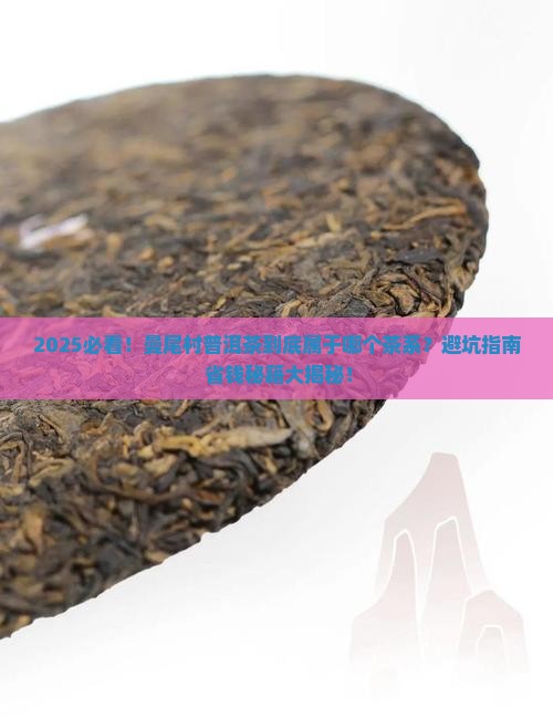 勐海县曼尾村普洱茶是什么茶系