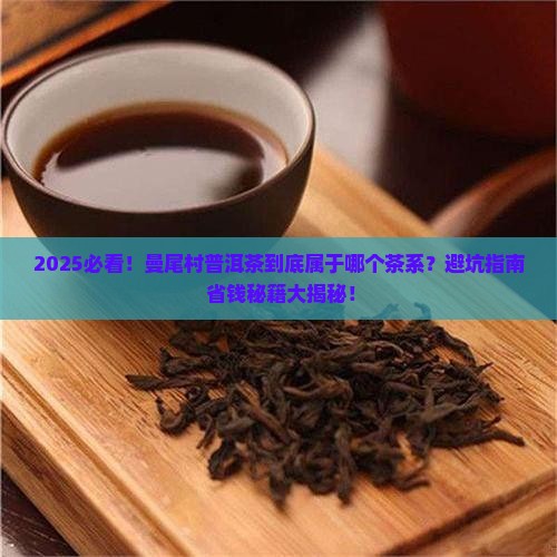 勐海县曼尾村普洱茶是什么茶系