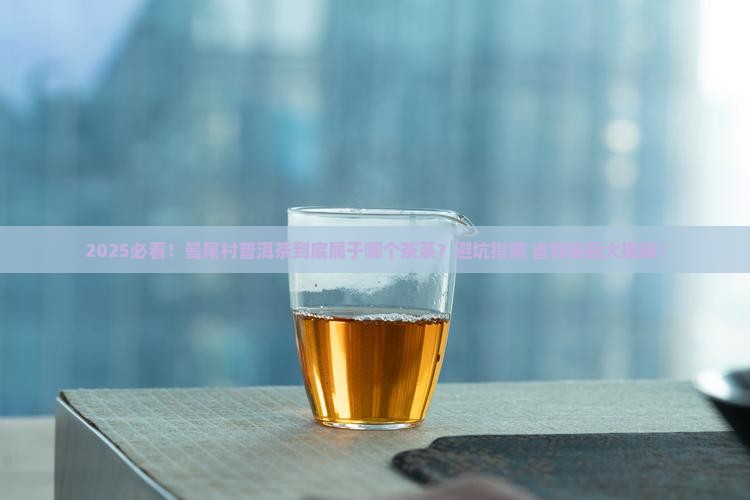勐海县曼尾村普洱茶是什么茶系