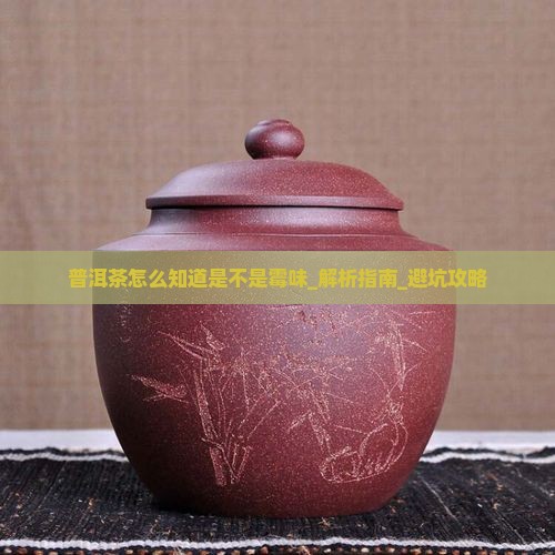 普洱茶怎么知道是不是霉味