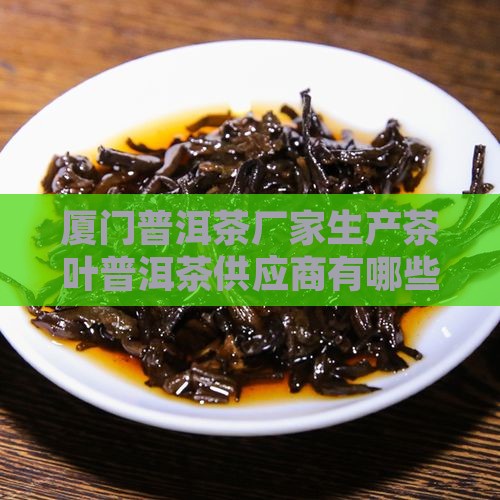 厦门熟普洱茶供应商有哪些