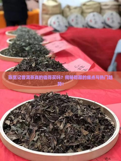 陈宽记普洱茶百科
