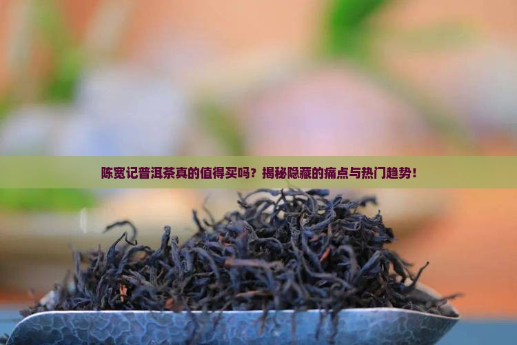 陈宽记普洱茶百科