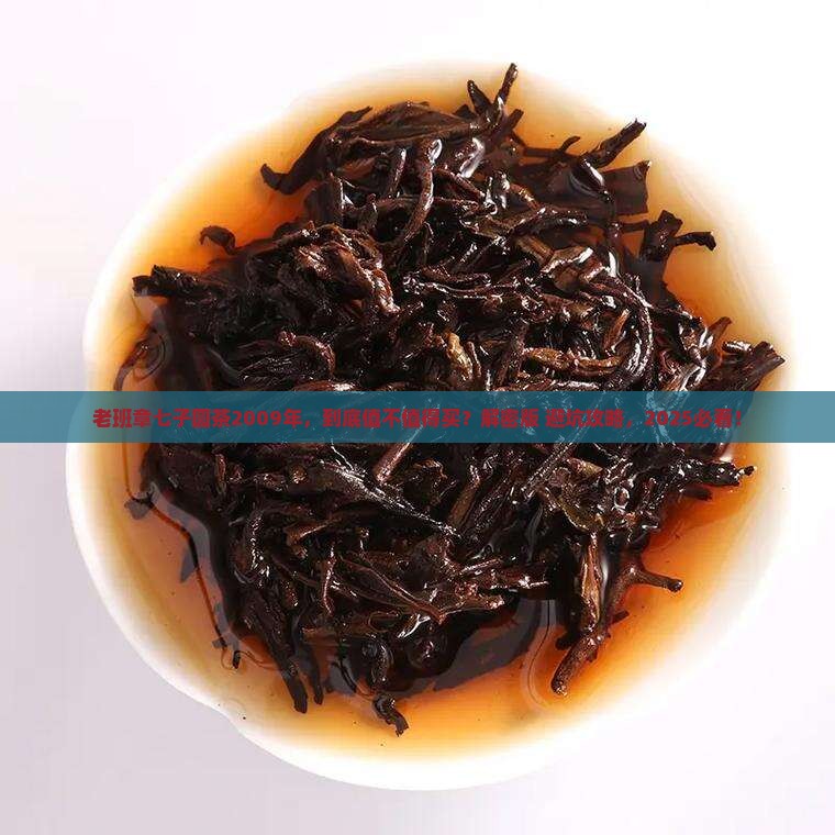 老班章七子圆茶2009年