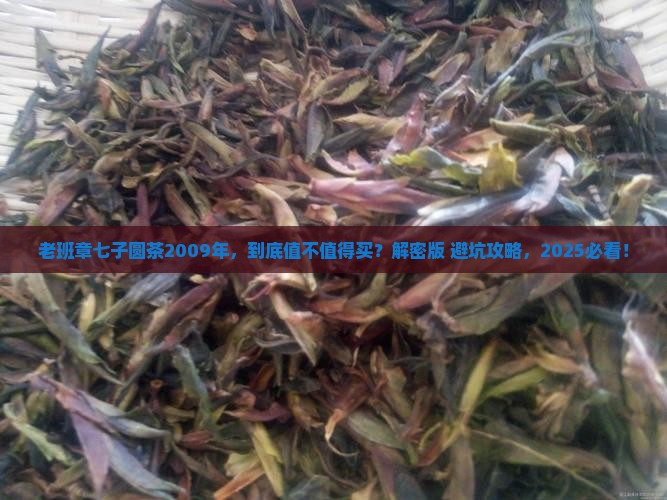 老班章七子圆茶2009年